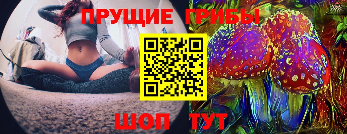 Псилоцибиновые грибы прущие грибы Сургут